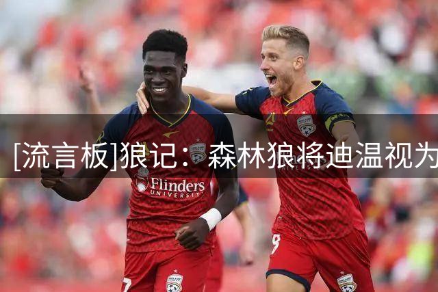 [流言板]狼记：森林狼将迪温视为不可或缺的一部分，今夏他是非卖品